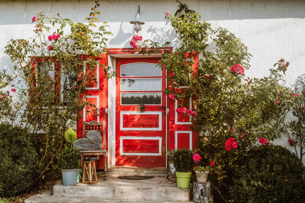 A red front door surrounded by climbing roses at a home entrance